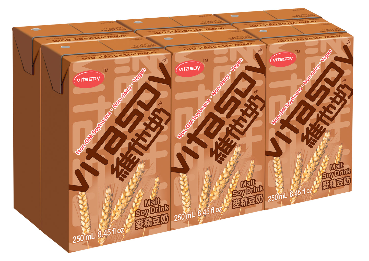 ビタソイ 麦芽豆乳飲料250ml 6個紙パック入り
