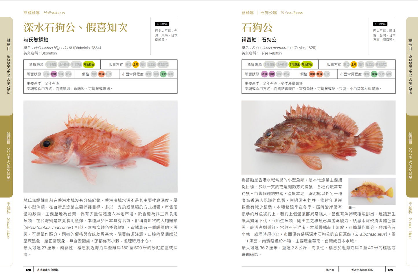 香港街市海魚図鑑